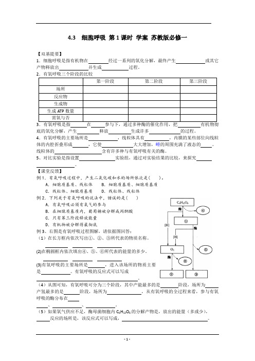 4.3  细胞呼吸 第1课时 学案 苏教版必修一 (1)