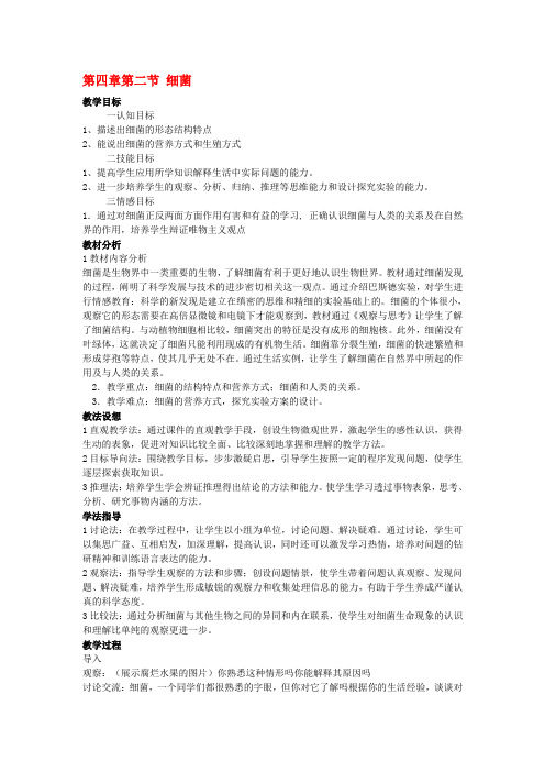 八年级生物上册第四章第二节 细菌教案人教版