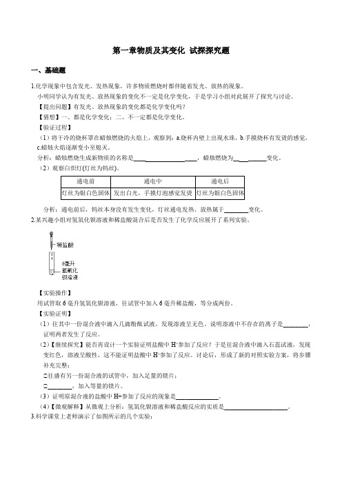 浙教版九年级上册  第一章 物质及其变化 试探探究题  专项突破 (含答案)