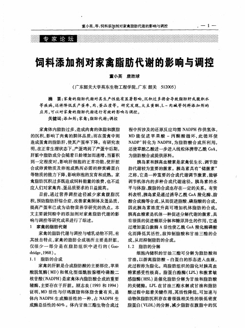 饲料添加剂对家禽脂肪代谢的影响与调控