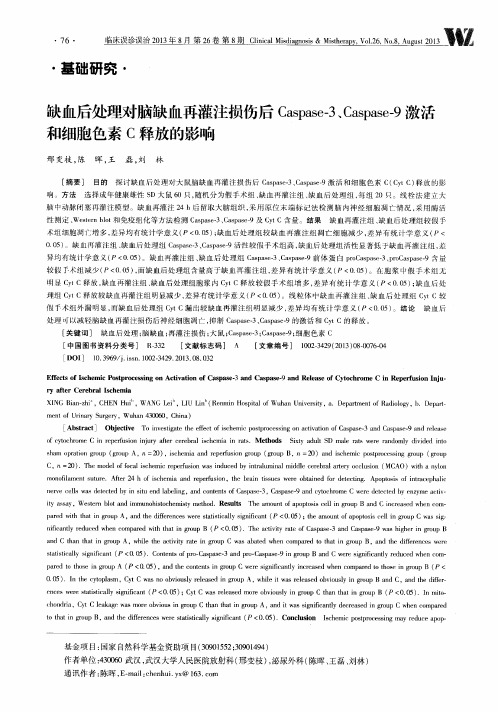 缺血后处理对脑缺血再灌注损伤后Caspase-3、Caspase-9激活和细胞色素C释放的影响