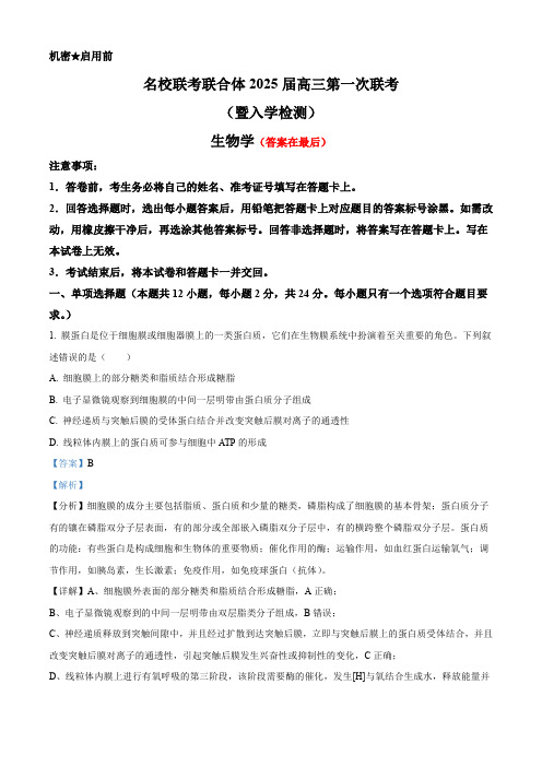 湖南省名校联考联合体2025届高三上学期第一次联考(暨入学检测)生物试题含答案