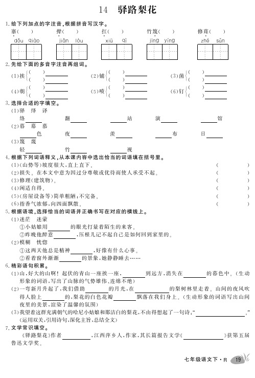 14 驿路梨花(预习作业)