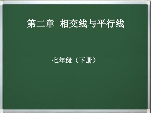 第二章  相交线与平行线同步串讲