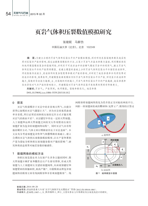 页岩气体积压裂数值模拟研究-天然气与石油