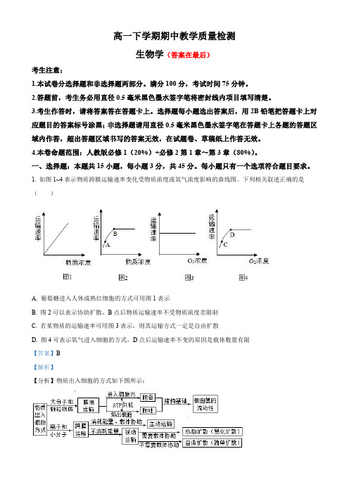 安徽省2023-2024学年高一下学期期中教学质量检测生物试题含答案