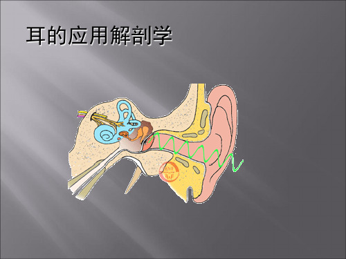 耳的应用解剖学ppt课件