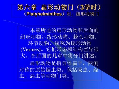 第七章  扁形动物门-PPT文档资料