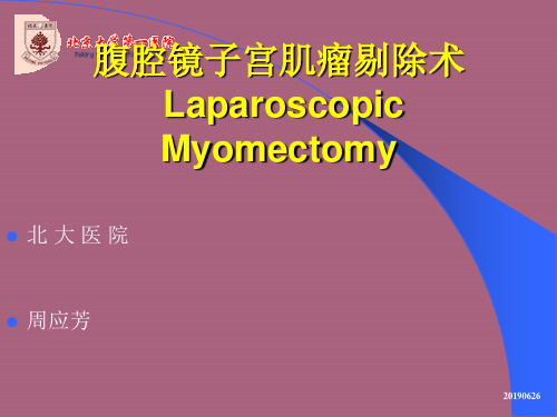 子宫肌瘤的腹腔镜手术ppt课件