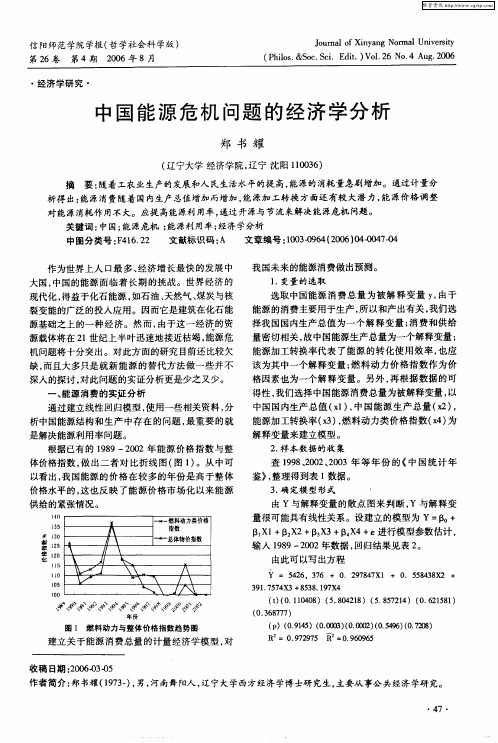 中国能源危机问题的经济学分析