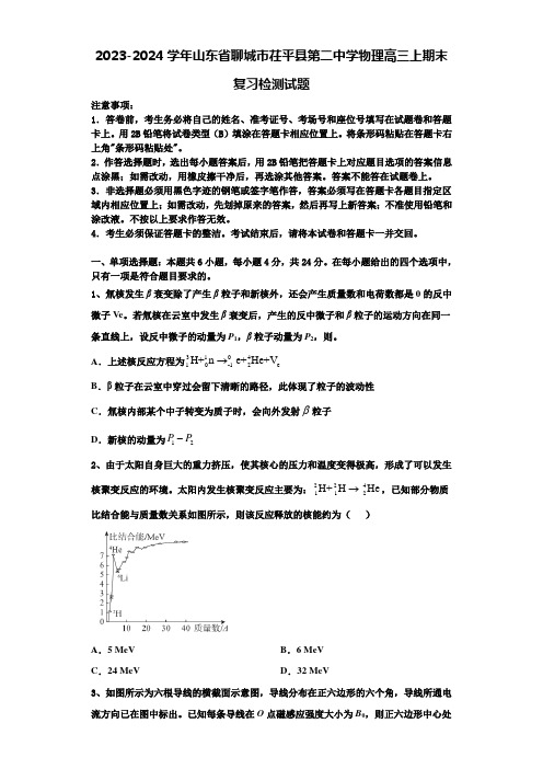 2023-2024学年山东省聊城市茌平县第二中学物理高三上期末复习检测试题含解析