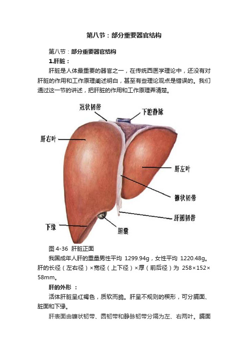 第八节：部分重要器官结构