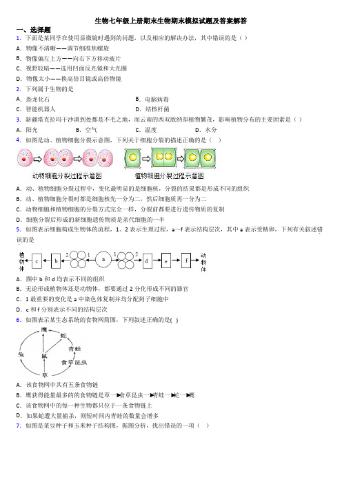 生物七年级上册期末生物期末模拟试题及答案解答