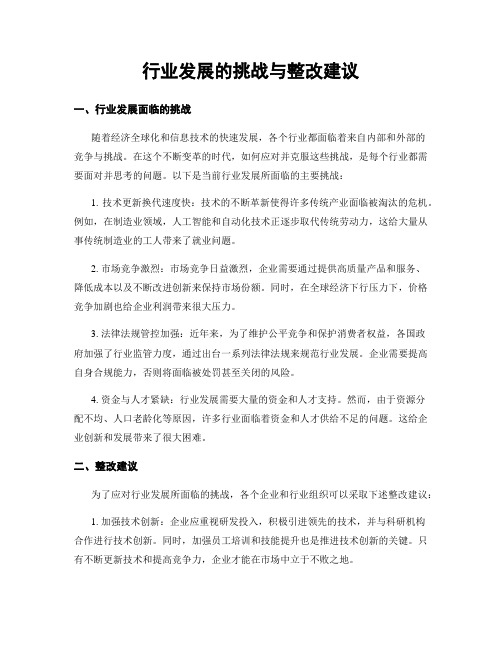 行业发展的挑战与整改建议