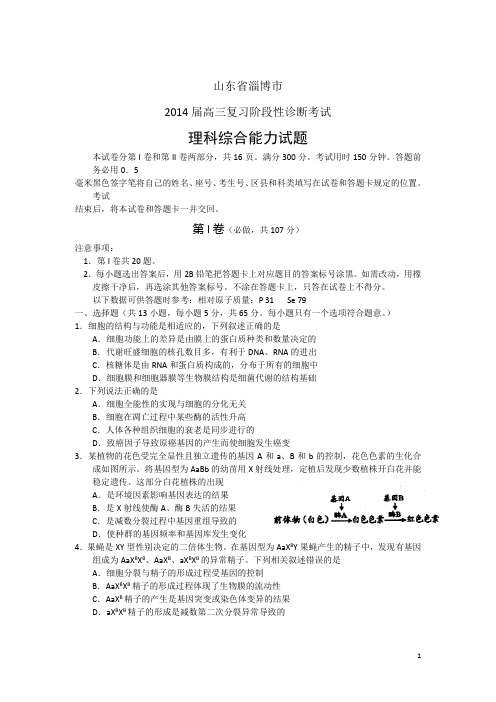 山东省淄博市2014届高三复习阶段性诊断考试理综试题及答案