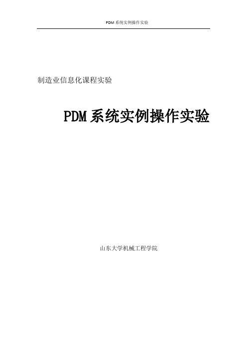 PDM实例操作