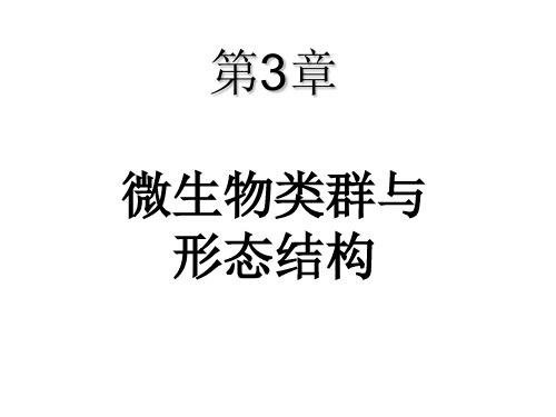 第三章 微生物类群与形态结构