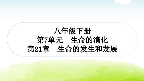 北师大版中考生物复习八年级下册第7单元生命的演化复习第21章生命的发生和发展课件