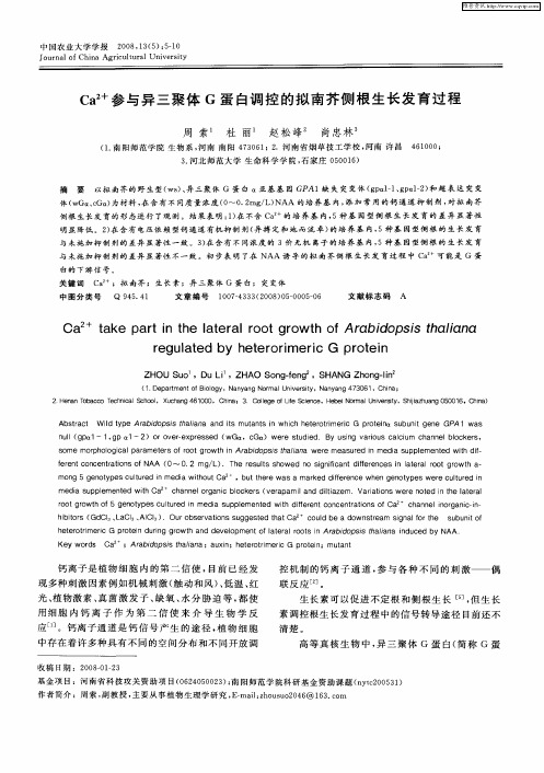 Ca 2+参与异三聚体G蛋白调控的拟南芥侧根生长发育过程