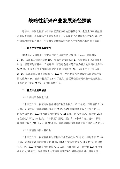 战略性新兴产业发展路径探索