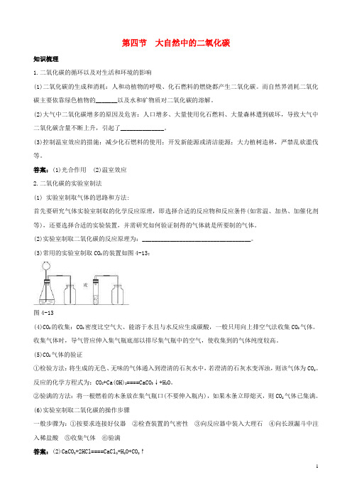 九年级化学全册 4.4《大自然中的二氧化碳》知识梳理 鲁教版