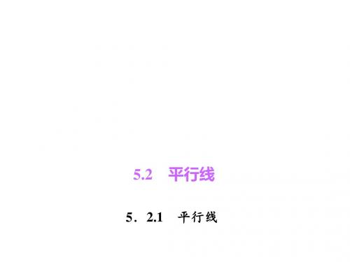 七年级数学上册(华师版)课件：5.2.1 平行线