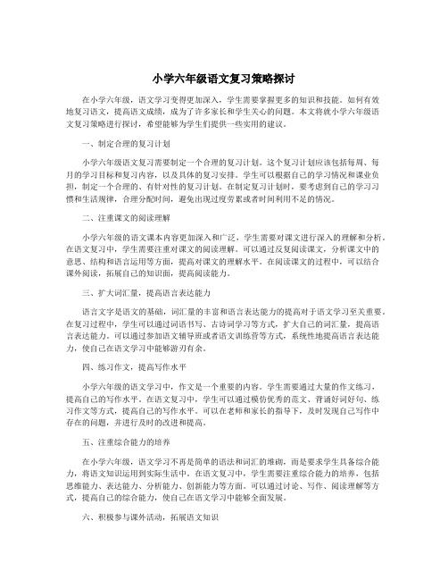 小学六年级语文复习策略探讨