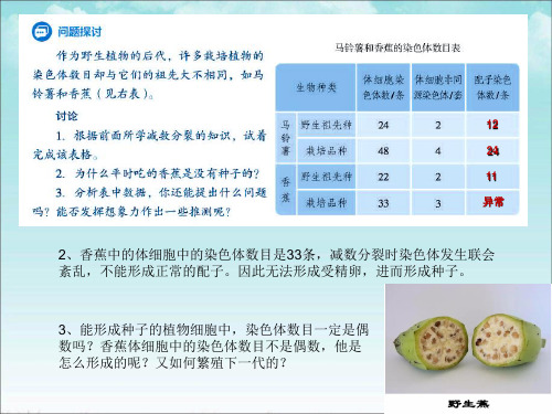 人教版生物新教材染色体变异ppt课件