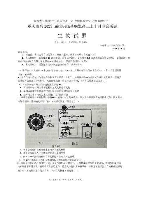 重庆市西南大学附属中学、重庆育才中学等学校2024-2025高三上学期10月联考生物试题(无答案)