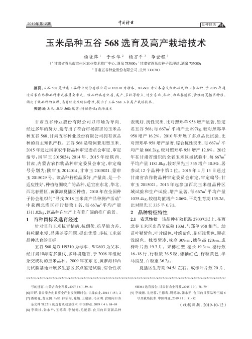玉米品种五谷568选育及高产栽培技术