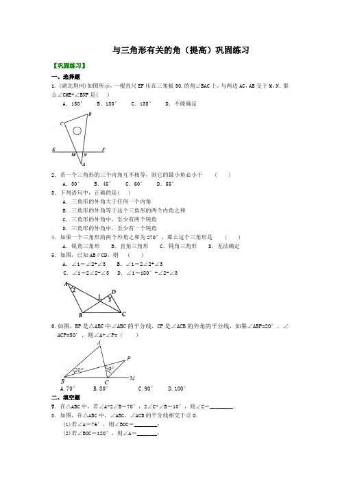 与三角形有关的角(提高) 巩固练习