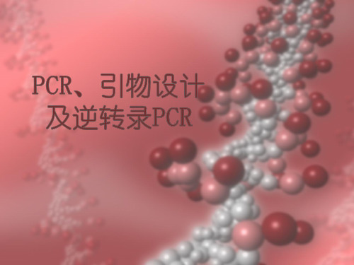 PCR、引物设计与逆转录PCR