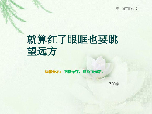 高二叙事作文《就算红了眼眶也要眺望远方》750字