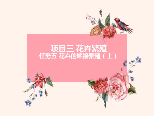 花卉繁育—嫁接繁殖