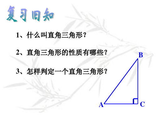 2(PPT)5-1.5.2直角三角形(二) 