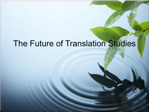 The Future of Translation Studies