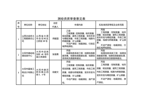 测绘资质审意见表