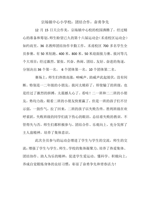 15日运动会简报