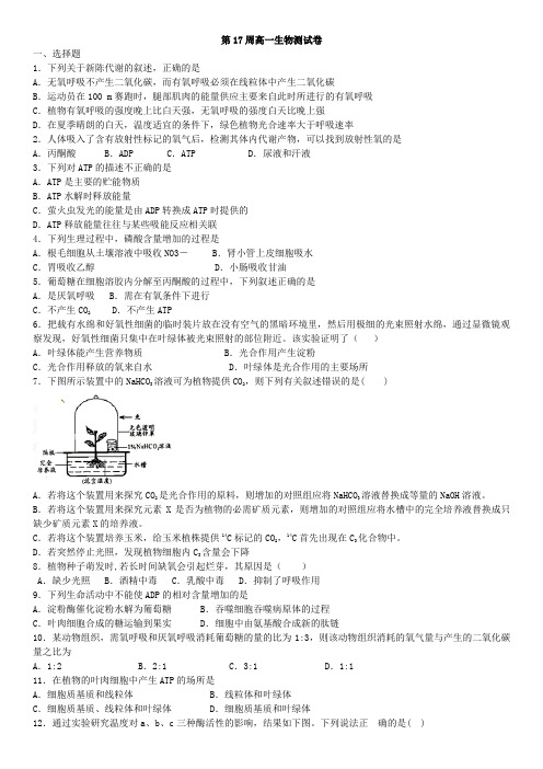 5新人教版高中生物必修一第五章细胞的能量供应和利用含答案