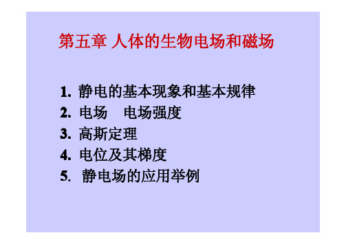 人体的生物电场和磁场专科