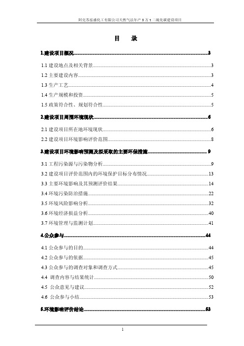 二硫化碳环评报告