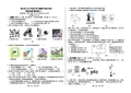 2015年重庆市中考初中毕业暨高中招生考试物理模拟题4