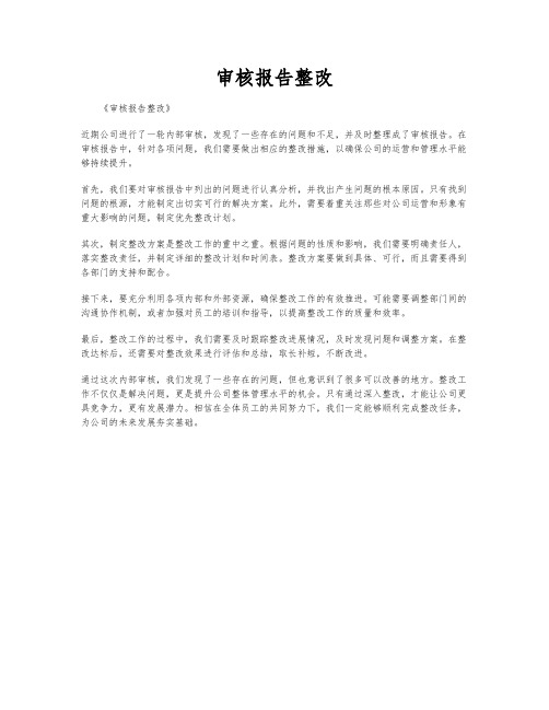 审核报告整改