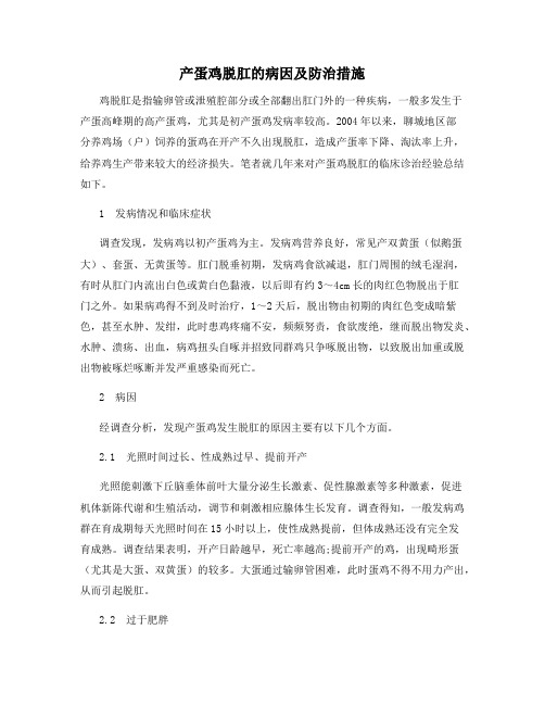 产蛋鸡脱肛的病因及防治措施