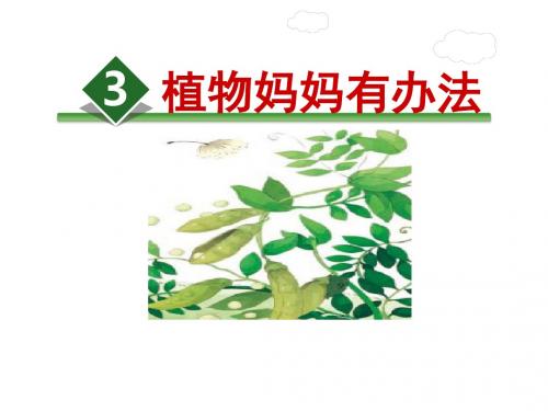 部编版新版二年级上册第三课《植物妈妈有办法》拼音单词卡