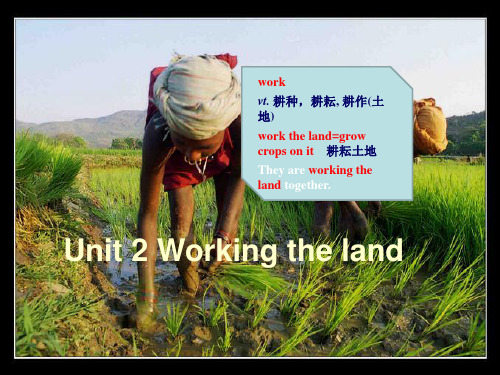 人教版高一英语必修四 Unit 2 Working the land-