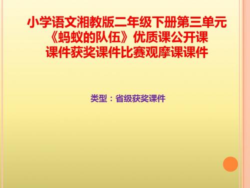 小学语文湘教版二年级下册第三单元《蚂蚁的队伍》优质课公开课课件获奖课件比赛观摩课课件B005