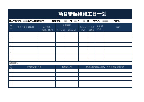 项目施工日计划表格