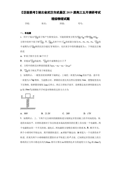 湖北省武汉市武昌区2019届高三五月调研考试理综物理试题