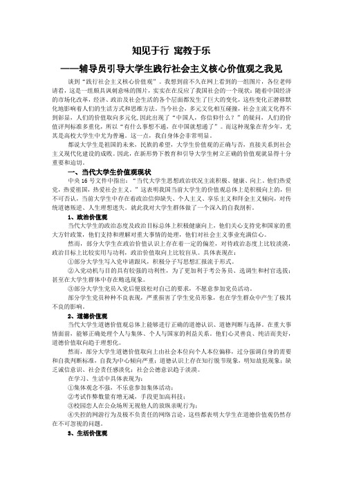 知见于行,寓教于乐——辅导员引导大学生践行社会主义核心价值观之我见